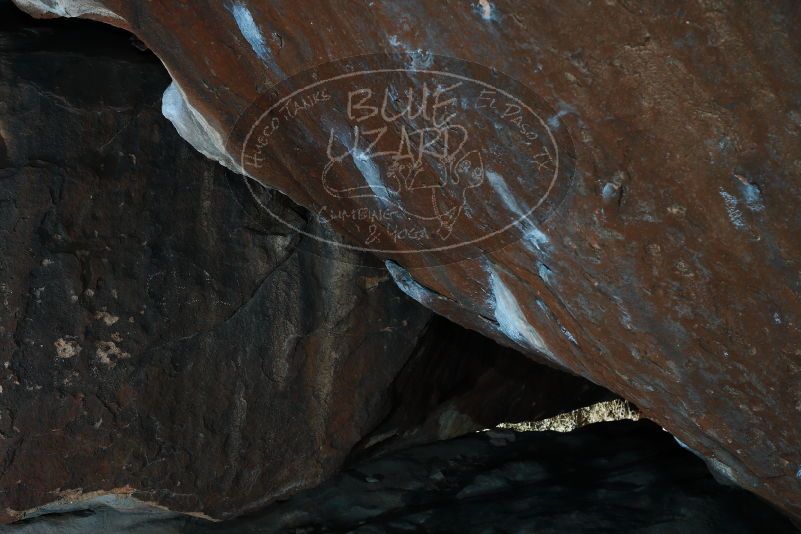 

Filename: SRM_20180209_1414510.jpg
Aperture: f/8.0
Shutter Speed: 1/250
Body: Canon EOS-1D Mark II
Lens: Canon EF 50mm f/1.8 II