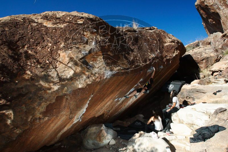 

Filename: SRM_20180209_1631160.jpg
Aperture: f/8.0
Shutter Speed: 1/250
Body: Canon EOS-1D Mark II
Lens: Canon EF 16-35mm f/2.8 L