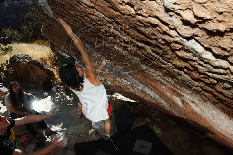 

Filename: SRM_20180209_1639380.jpg
Aperture: f/8.0
Shutter Speed: 1/250
Body: Canon EOS-1D Mark II
Lens: Canon EF 16-35mm f/2.8 L