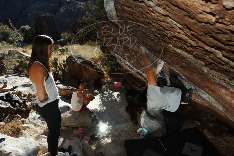 

Filename: SRM_20180209_1645580.jpg
Aperture: f/8.0
Shutter Speed: 1/250
Body: Canon EOS-1D Mark II
Lens: Canon EF 16-35mm f/2.8 L