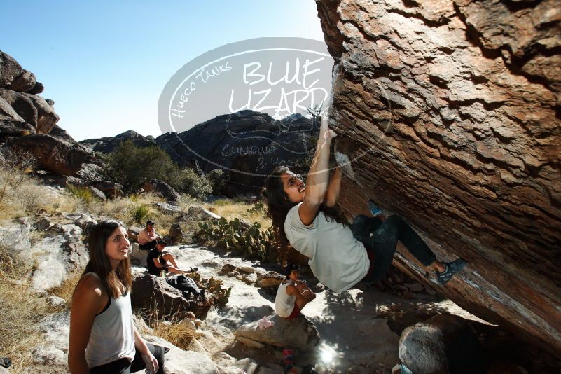 

Filename: SRM_20180209_1646100.jpg
Aperture: f/8.0
Shutter Speed: 1/250
Body: Canon EOS-1D Mark II
Lens: Canon EF 16-35mm f/2.8 L