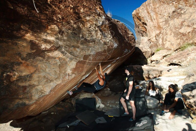 

Filename: SRM_20180209_1711440.jpg
Aperture: f/8.0
Shutter Speed: 1/250
Body: Canon EOS-1D Mark II
Lens: Canon EF 16-35mm f/2.8 L