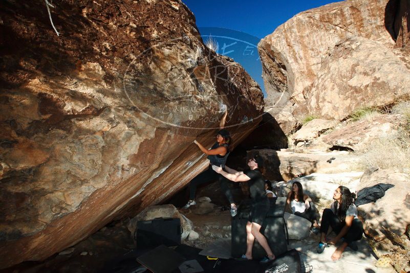 

Filename: SRM_20180209_1711540.jpg
Aperture: f/8.0
Shutter Speed: 1/250
Body: Canon EOS-1D Mark II
Lens: Canon EF 16-35mm f/2.8 L