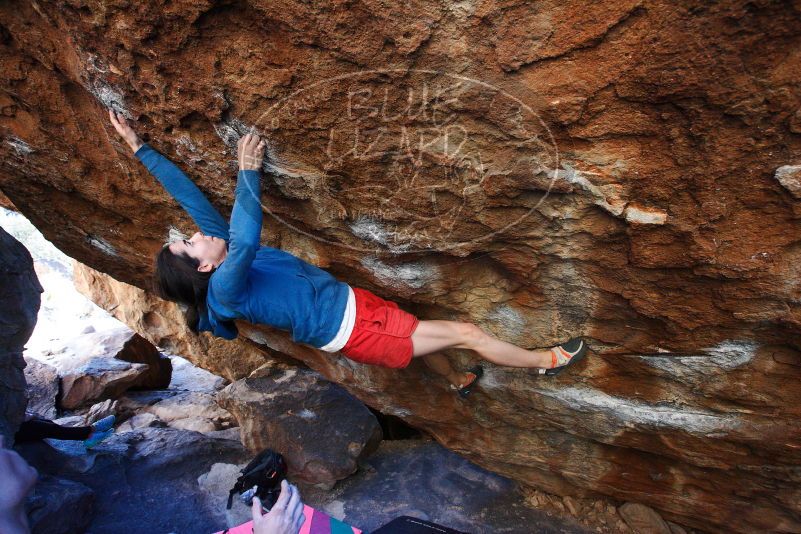 

Filename: SRM_20180209_1736421.jpg
Aperture: f/5.0
Shutter Speed: 1/250
Body: Canon EOS-1D Mark II
Lens: Canon EF 16-35mm f/2.8 L