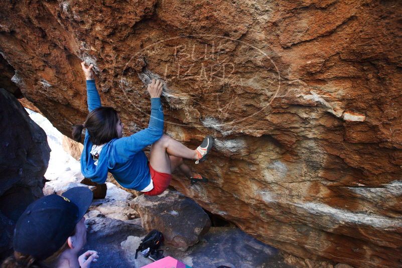 

Filename: SRM_20180209_1736481.jpg
Aperture: f/5.0
Shutter Speed: 1/250
Body: Canon EOS-1D Mark II
Lens: Canon EF 16-35mm f/2.8 L