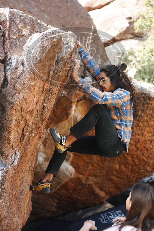 

Filename: SRM_20180210_1125380.jpg
Aperture: f/2.8
Shutter Speed: 1/500
Body: Canon EOS-1D Mark II
Lens: Canon EF 50mm f/1.8 II