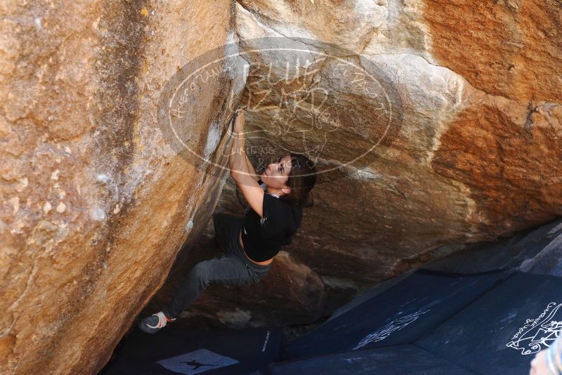 

Filename: SRM_20180210_1141320.jpg
Aperture: f/4.0
Shutter Speed: 1/320
Body: Canon EOS-1D Mark II
Lens: Canon EF 50mm f/1.8 II