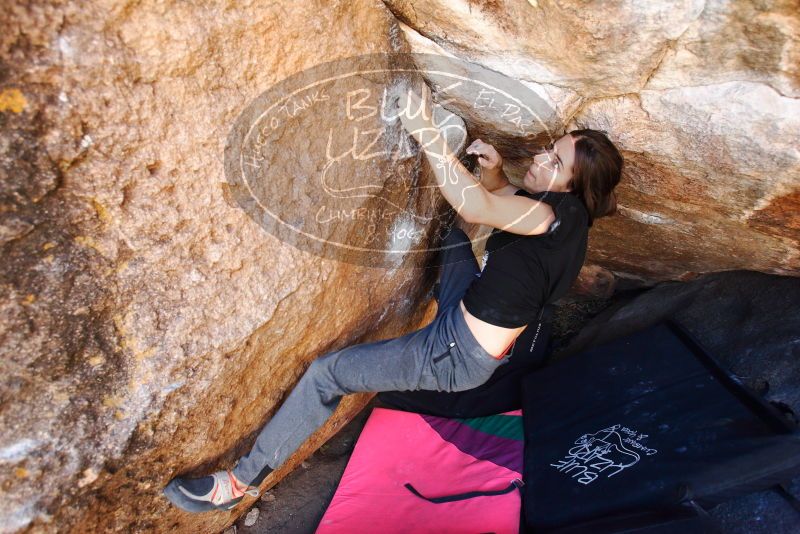 

Filename: SRM_20180210_1208470.jpg
Aperture: f/4.0
Shutter Speed: 1/320
Body: Canon EOS-1D Mark II
Lens: Canon EF 16-35mm f/2.8 L