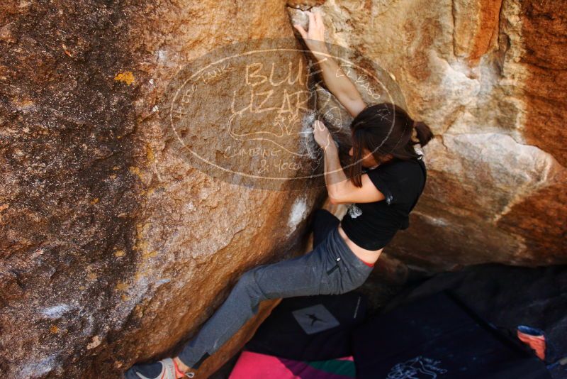 

Filename: SRM_20180210_1215040.jpg
Aperture: f/4.0
Shutter Speed: 1/800
Body: Canon EOS-1D Mark II
Lens: Canon EF 16-35mm f/2.8 L