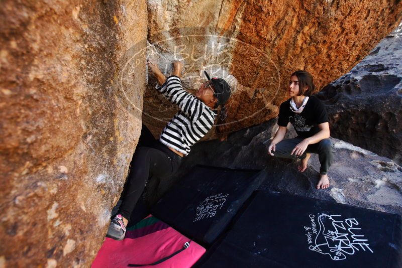 

Filename: SRM_20180210_1220120.jpg
Aperture: f/4.0
Shutter Speed: 1/800
Body: Canon EOS-1D Mark II
Lens: Canon EF 16-35mm f/2.8 L