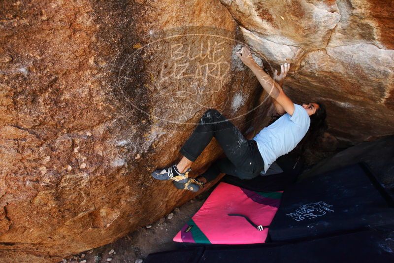 

Filename: SRM_20180210_1221340.jpg
Aperture: f/4.0
Shutter Speed: 1/800
Body: Canon EOS-1D Mark II
Lens: Canon EF 16-35mm f/2.8 L