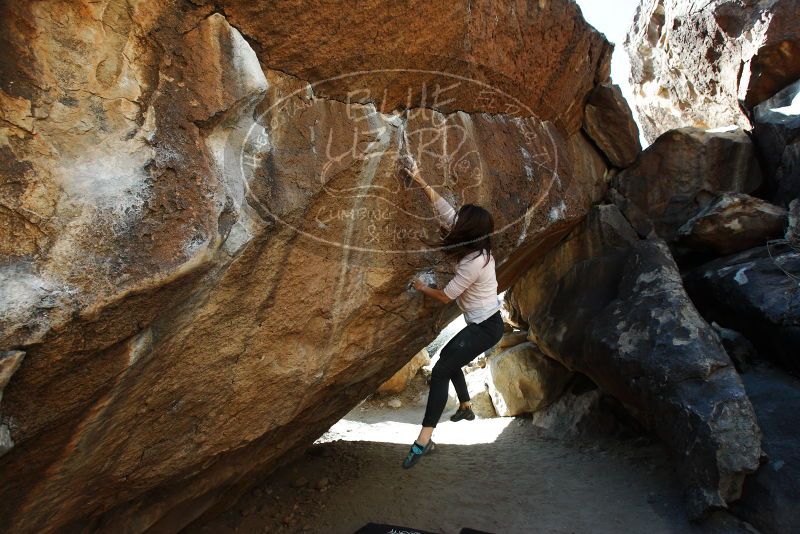 

Filename: SRM_20180210_1249580.jpg
Aperture: f/5.6
Shutter Speed: 1/500
Body: Canon EOS-1D Mark II
Lens: Canon EF 16-35mm f/2.8 L