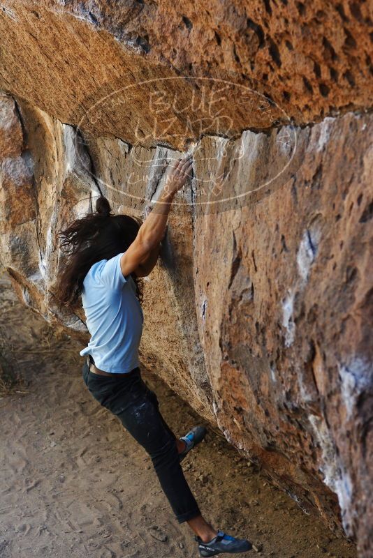 

Filename: SRM_20180210_1316130.jpg
Aperture: f/4.0
Shutter Speed: 1/500
Body: Canon EOS-1D Mark II
Lens: Canon EF 85mm f/1.2 L II