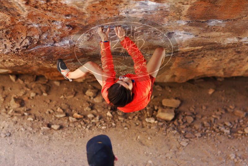 

Filename: SRM_20180210_1331220.jpg
Aperture: f/2.0
Shutter Speed: 1/400
Body: Canon EOS-1D Mark II
Lens: Canon EF 85mm f/1.2 L II