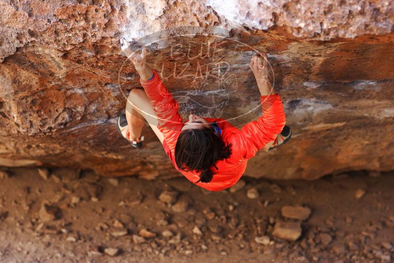 

Filename: SRM_20180210_1337381.jpg
Aperture: f/2.8
Shutter Speed: 1/400
Body: Canon EOS-1D Mark II
Lens: Canon EF 85mm f/1.2 L II