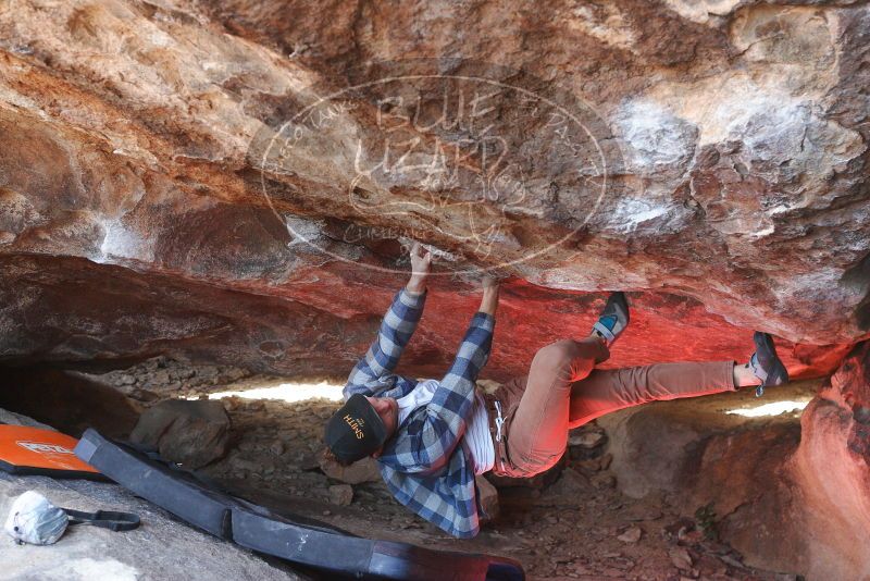 

Filename: SRM_20180210_1453050.jpg
Aperture: f/4.0
Shutter Speed: 1/400
Body: Canon EOS-1D Mark II
Lens: Canon EF 50mm f/1.8 II