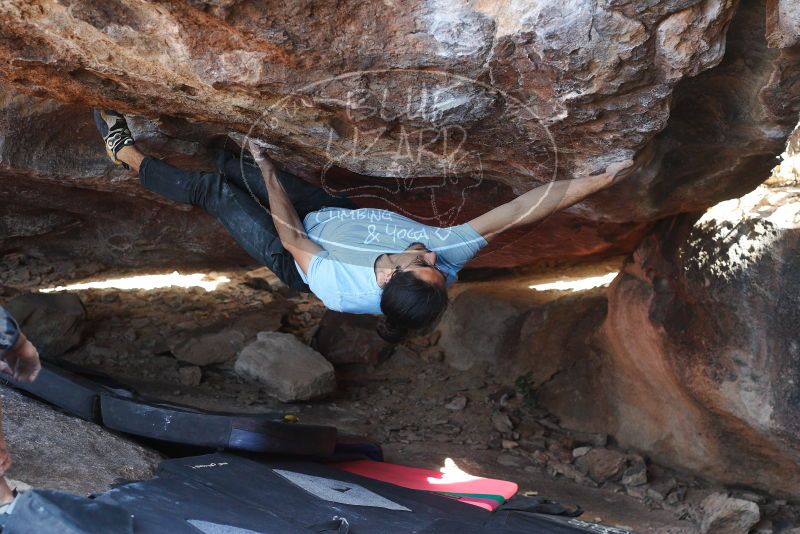 

Filename: SRM_20180210_1501230.jpg
Aperture: f/4.0
Shutter Speed: 1/400
Body: Canon EOS-1D Mark II
Lens: Canon EF 50mm f/1.8 II