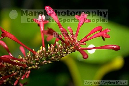 

Filename: crw_2356_std.jpg
Aperture: f/5.6
Shutter Speed: 1/200
Body: Canon EOS DIGITAL REBEL
Lens: Canon EF-S 18-55mm f/3.5-5.6