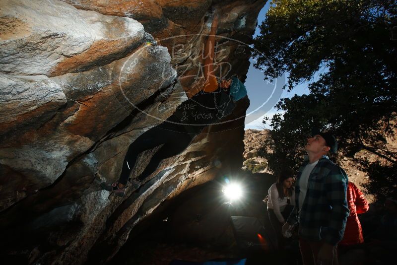 

Filename: SRM_20180210_1648170.jpg
Aperture: f/8.0
Shutter Speed: 1/250
Body: Canon EOS-1D Mark II
Lens: Canon EF 16-35mm f/2.8 L