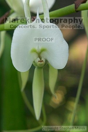 

Filename: crw_2390_std.jpg
Aperture: f/7.1
Shutter Speed: 1/40
Body: Canon EOS DIGITAL REBEL
Lens: Canon EF 50mm f/1.8 II