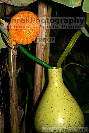 

Filename: crw_2352_std.jpg
Aperture: f/5.0
Shutter Speed: 1/200
Body: Canon EOS DIGITAL REBEL
Lens: Canon EF-S 18-55mm f/3.5-5.6