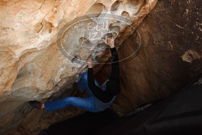 

Filename: SRM_20180224_1017400.jpg
Aperture: f/3.2
Shutter Speed: 1/250
Body: Canon EOS-1D Mark II
Lens: Canon EF 16-35mm f/2.8 L