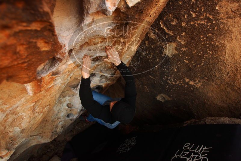 

Filename: SRM_20180224_1018060.jpg
Aperture: f/3.5
Shutter Speed: 1/250
Body: Canon EOS-1D Mark II
Lens: Canon EF 16-35mm f/2.8 L