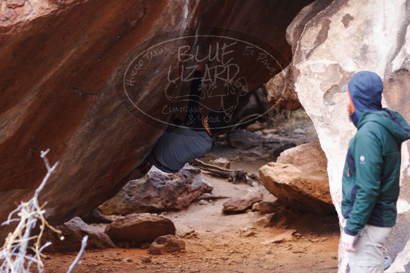 

Filename: SRM_20180224_1108310.jpg
Aperture: f/3.2
Shutter Speed: 1/250
Body: Canon EOS-1D Mark II
Lens: Canon EF 85mm f/1.2 L II