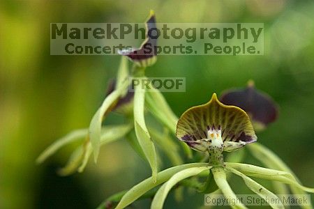 

Filename: crw_2391_std.jpg
Aperture: f/5.6
Shutter Speed: 1/30
Body: Canon EOS DIGITAL REBEL
Lens: Canon EF 50mm f/1.8 II