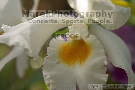 

Filename: crw_2382_std.jpg
Aperture: f/4.0
Shutter Speed: 1/250
Body: Canon EOS DIGITAL REBEL
Lens: Canon EF 50mm f/1.8 II