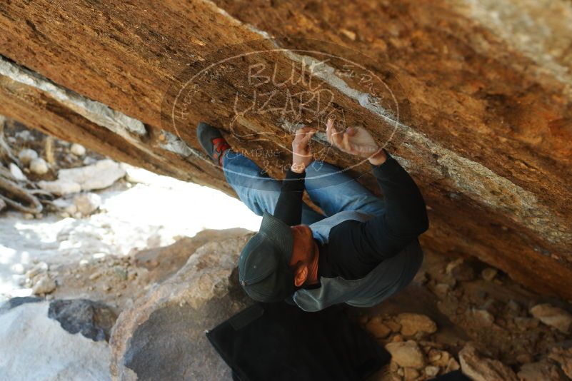 

Filename: SRM_20180224_1706200.jpg
Aperture: f/4.0
Shutter Speed: 1/320
Body: Canon EOS-1D Mark II
Lens: Canon EF 50mm f/1.8 II