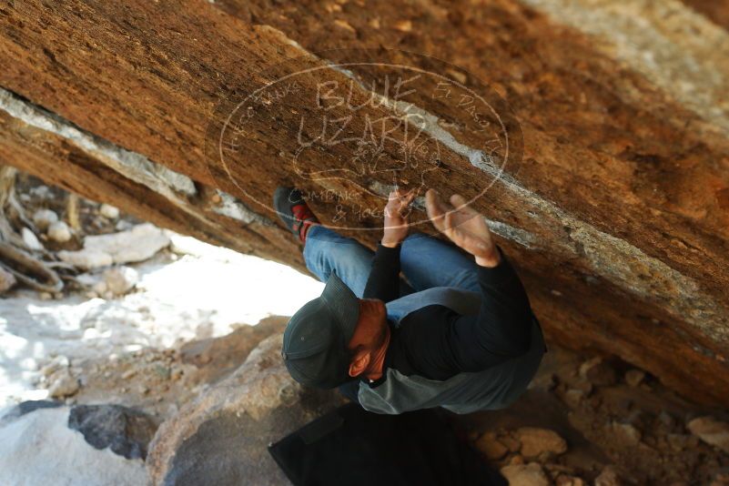 

Filename: SRM_20180224_1706540.jpg
Aperture: f/4.0
Shutter Speed: 1/400
Body: Canon EOS-1D Mark II
Lens: Canon EF 50mm f/1.8 II