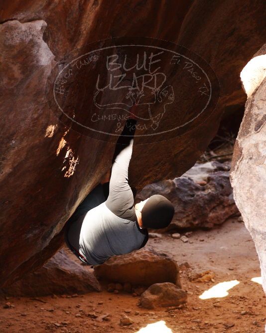 

Filename: SRM_20180224_1118100.jpg
Aperture: f/5.0
Shutter Speed: 1/250
Body: Canon EOS-1D Mark II
Lens: Canon EF 85mm f/1.2 L II