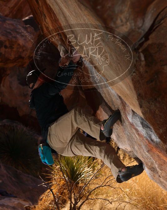 

Filename: SRM_20180224_1150360.jpg
Aperture: f/5.6
Shutter Speed: 1/250
Body: Canon EOS-1D Mark II
Lens: Canon EF 85mm f/1.2 L II