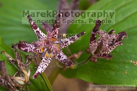 

Filename: crw_2343_std.jpg
Aperture: f/5.6
Shutter Speed: 1/25
Body: Canon EOS DIGITAL REBEL
Lens: Canon EF 50mm f/1.8 II