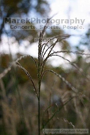 

Filename: crw_2333_std.jpg
Aperture: f/5.6
Shutter Speed: 1/200
Body: Canon EOS DIGITAL REBEL
Lens: Canon EF-S 18-55mm f/3.5-5.6