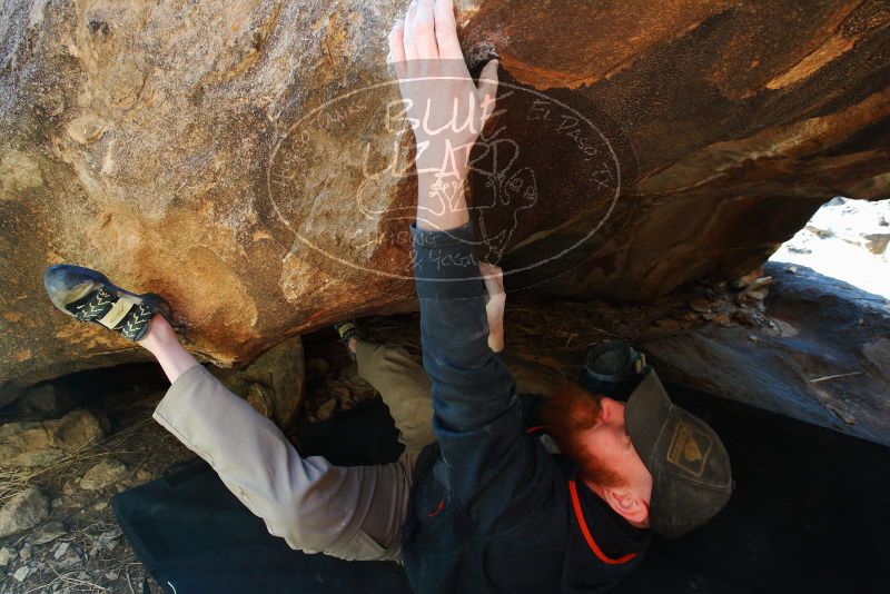 

Filename: SRM_20180224_1554220.jpg
Aperture: f/5.6
Shutter Speed: 1/250
Body: Canon EOS-1D Mark II
Lens: Canon EF 16-35mm f/2.8 L