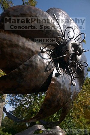 

Filename: crw_2325_std.jpg
Aperture: f/4.0
Shutter Speed: 1/500
Body: Canon EOS DIGITAL REBEL
Lens: Canon EF-S 18-55mm f/3.5-5.6