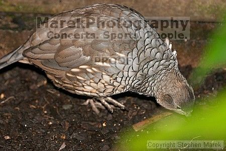 

Filename: crw_2368_std.jpg
Aperture: f/5.0
Shutter Speed: 1/200
Body: Canon EOS DIGITAL REBEL
Lens: Canon EF 80-200mm f/2.8 L