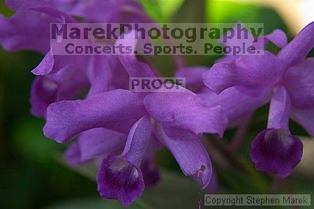 

Filename: crw_2388_std.jpg
Aperture: f/4.0
Shutter Speed: 1/80
Body: Canon EOS DIGITAL REBEL
Lens: Canon EF 50mm f/1.8 II