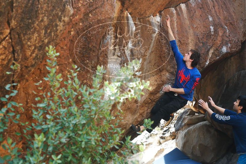 

Filename: SRM_20180223_1308530.jpg
Aperture: f/4.5
Shutter Speed: 1/400
Body: Canon EOS-1D Mark II
Lens: Canon EF 50mm f/1.8 II