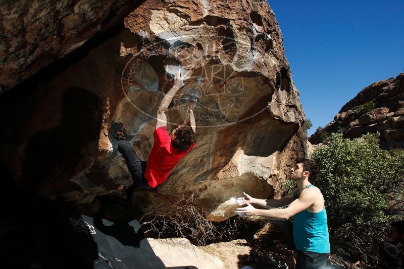 

Filename: SRM_20180223_1517150.jpg
Aperture: f/8.0
Shutter Speed: 1/250
Body: Canon EOS-1D Mark II
Lens: Canon EF 16-35mm f/2.8 L