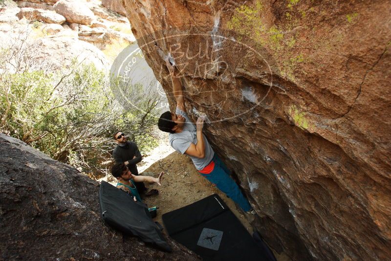 

Filename: SRM_20180223_1208440.jpg
Aperture: f/6.3
Shutter Speed: 1/250
Body: Canon EOS-1D Mark II
Lens: Canon EF 16-35mm f/2.8 L