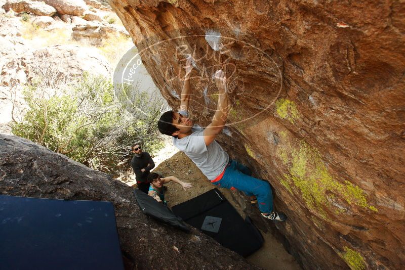 

Filename: SRM_20180223_1208590.jpg
Aperture: f/7.1
Shutter Speed: 1/250
Body: Canon EOS-1D Mark II
Lens: Canon EF 16-35mm f/2.8 L