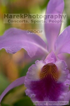 

Filename: crw_2383_std.jpg
Aperture: f/4.0
Shutter Speed: 1/200
Body: Canon EOS DIGITAL REBEL
Lens: Canon EF 50mm f/1.8 II