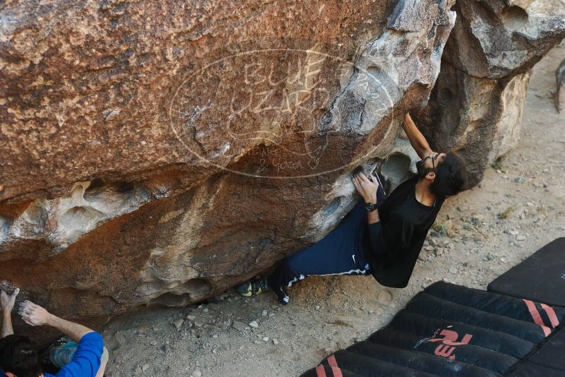 

Filename: SRM_20180223_1031030.jpg
Aperture: f/4.0
Shutter Speed: 1/400
Body: Canon EOS-1D Mark II
Lens: Canon EF 50mm f/1.8 II