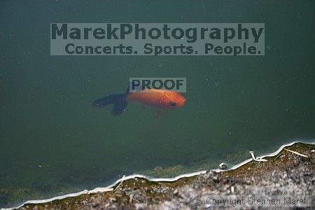 

Filename: crw_2350_std.jpg
Aperture: f/5.6
Shutter Speed: 1/25
Body: Canon EOS DIGITAL REBEL
Lens: Canon EF-S 18-55mm f/3.5-5.6