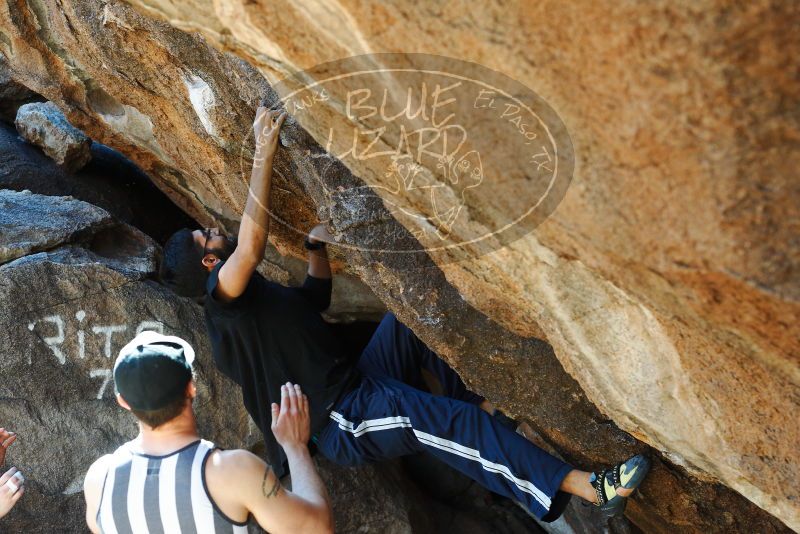 

Filename: SRM_20180223_1124020.jpg
Aperture: f/4.5
Shutter Speed: 1/320
Body: Canon EOS-1D Mark II
Lens: Canon EF 50mm f/1.8 II