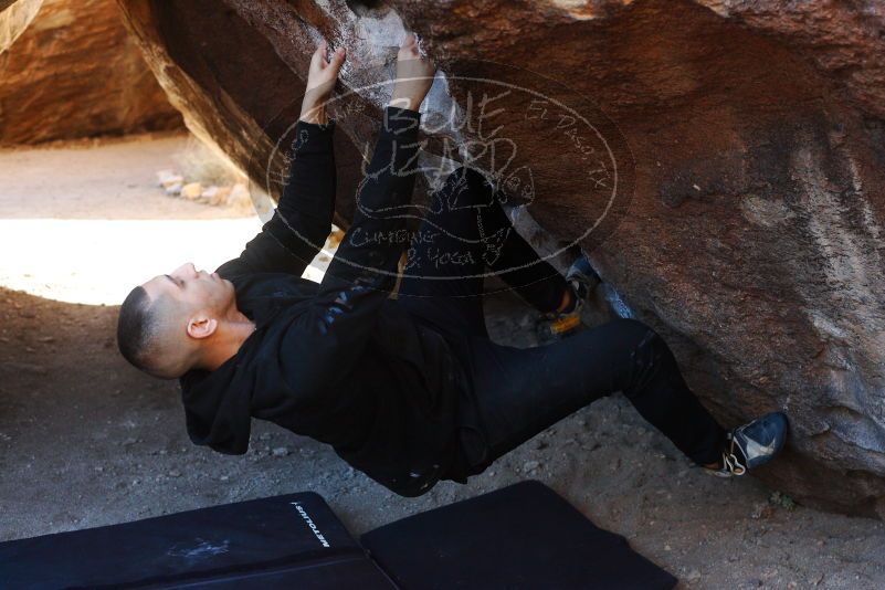 

Filename: SRM_20180223_1025020.jpg
Aperture: f/4.0
Shutter Speed: 1/500
Body: Canon EOS-1D Mark II
Lens: Canon EF 50mm f/1.8 II