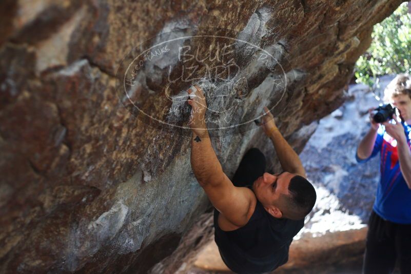 

Filename: SRM_20180223_1103440.jpg
Aperture: f/2.8
Shutter Speed: 1/640
Body: Canon EOS-1D Mark II
Lens: Canon EF 50mm f/1.8 II